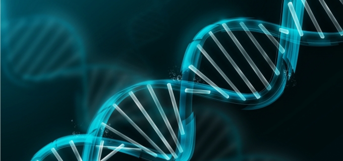 Rol de Procedimentos poderá incorporar tratamento genético