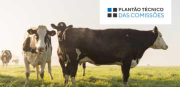 plantao_rural_banner_eventos_750x365