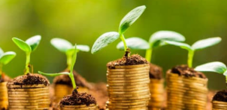Artigo: Agronegócio traz números impressionantes, que podem alavancar o setor de seguros